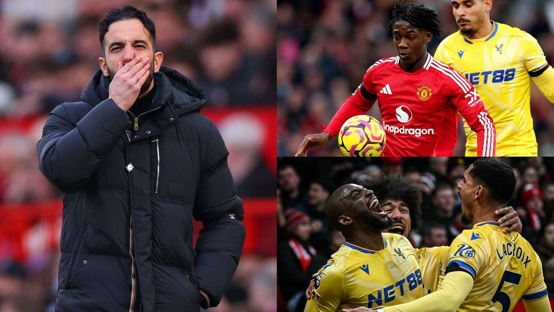 希望她们能 希望她们能